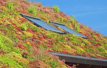 Hoddlesden living roof systems