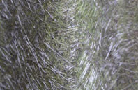 Hoddlesden fibreglass roof work